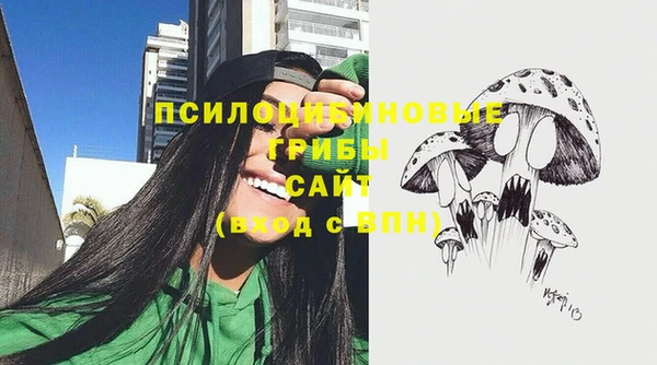 дурь Аркадак
