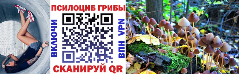 где найти наркотики  Снежинск  Галлюциногенные грибы ЛСД 